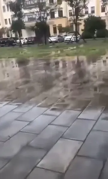 Cặp Đôi Cùng Ôn Bài Và Thân Mật Ngọt Ngào
